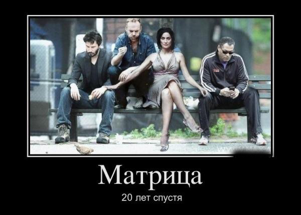 ТОП лучших демотиваторов