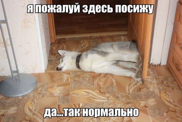 Я, пожалуй, тут посижу