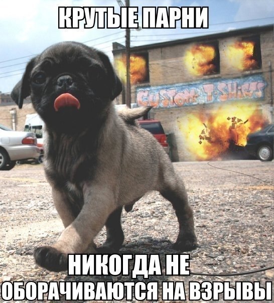 Смешная фотка с крутым парнем