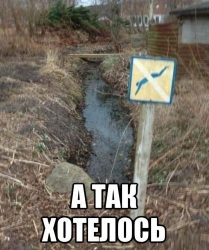 Прыгать нельзя! Зато купаться..