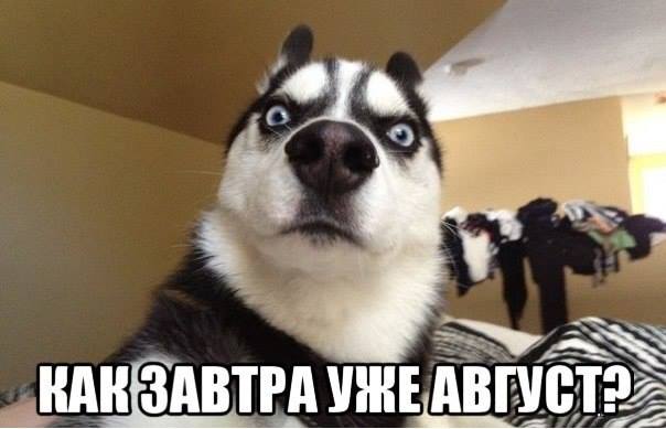 Няшка и август