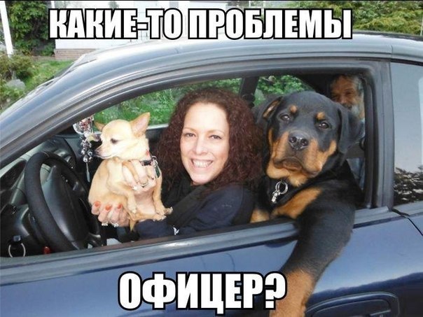 Всё семейство в сборе. Няшная фотка