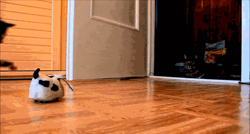 ВСЯКО РАЗНО