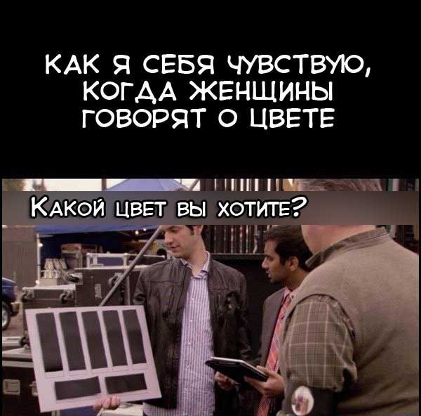 Чувство, когда женщины говорят о цвете. Прикол