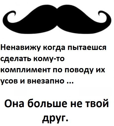 Смешная картинка про усы