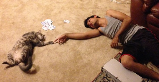 Лучшие репродукции картины. Прикол