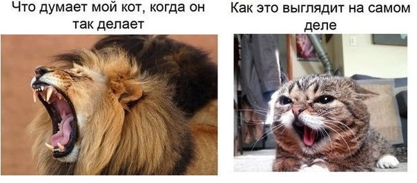 Ожидание и реальность