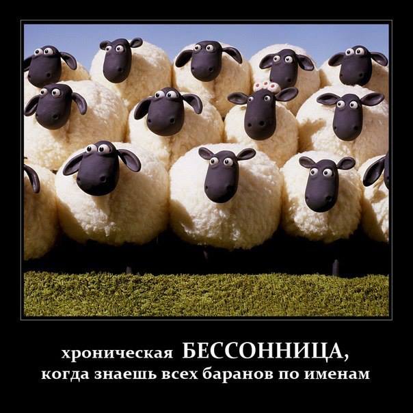 Ржачный демотиватор с баранами