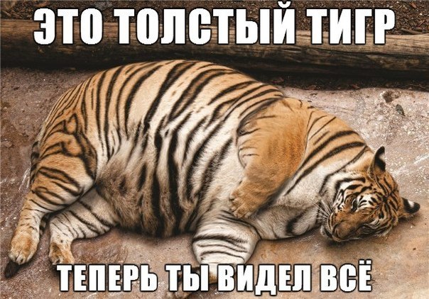 Теперь ты видел ВСЁ