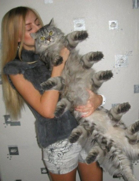 Тем временем в Чернобыле...