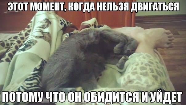 Не двигаюсь пока он спит.. люблю его