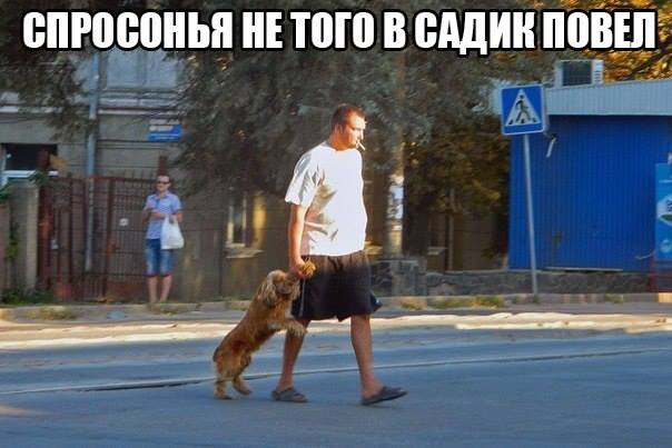 Спросонья не того в садик повел