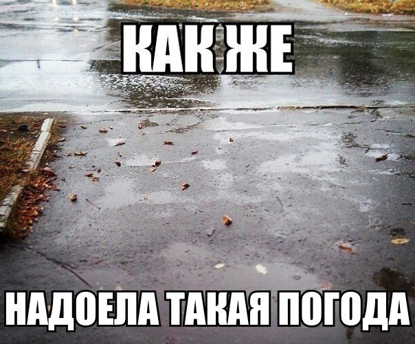 Дождь, ты уже достал!
