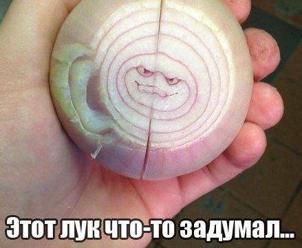 Смешной лук будет мстить