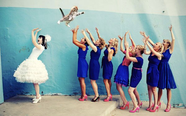 Новый хит интернета. Невесты бросают кошек
