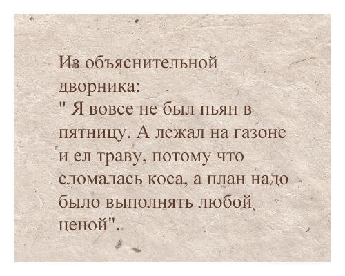 Смешная объяснительная