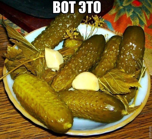 Самая вкусная еда на земле