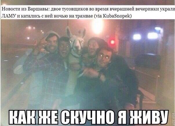 Русские умеют развлекаться