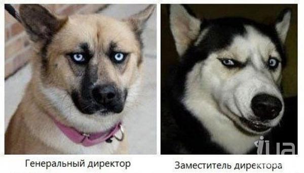 224111.jpeg